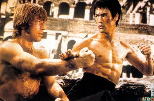 猛龙过江删除了什么（猛龙过江结局）