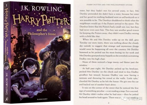哈利波特被选入课文了（哈利波特被选入课文了图片）