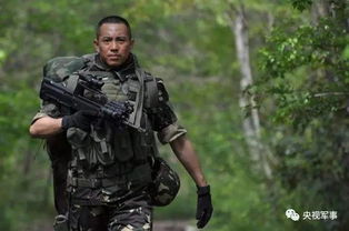 国产最好看的十部军旅电视剧（国产最好看的十部军旅电影）