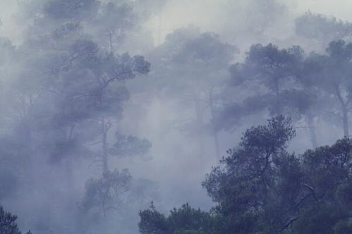 值得看的十大恐怖电影（值得看的恐怖片名单）