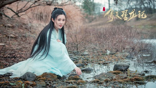 倚天屠龙记2019免费观看（倚天屠龙记2019免费观看西瓜）