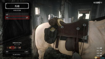 荒野大镖客2（荒野大镖客2最好的马）