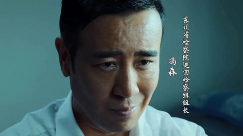 巡回检察组43集（巡回检察组43集在线播放免费视频）