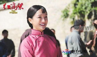 红电视视剧全集（红电视剧剧情介绍）