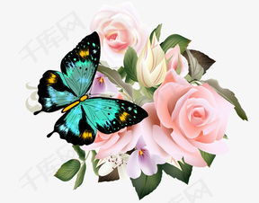 花蝴蝶日本大全免费观看7高清版（花蝴蝶日本大全免费观看7高清版免费完整版）