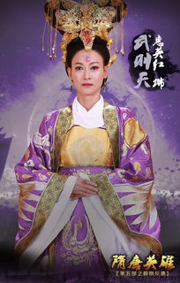 隋唐英雄5（隋唐英雄5演员表）