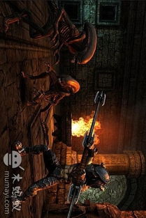 异形大战铁血战士进化（异形大战铁血战士进化下载）