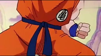 龙珠国语版（龙珠国语版普通话第一部）