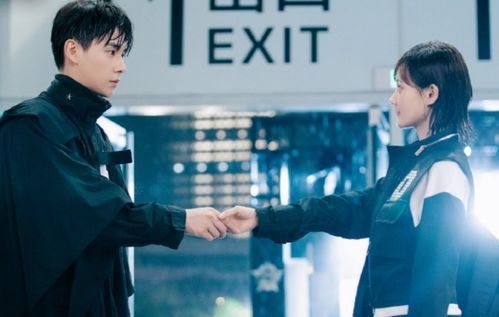 我的时代你的时代电视剧免费观看(亲爱的,热爱的第二季) 我的时代你的时代电视剧免费观看(亲爱的,热爱的第二季)