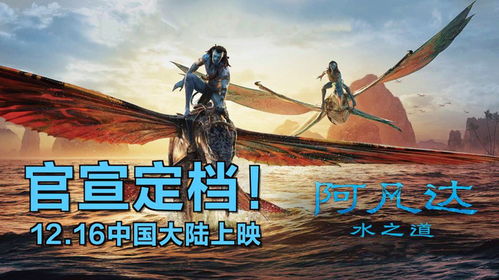 阿凡达2内地定档（阿凡达2定档时间）