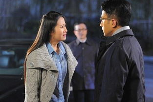 千山暮雪续集2完整版（千山暮雪续集第2集）