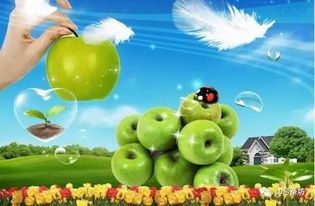 青苹果乐园高清免费观看（青苹果乐园高清免费观看动漫）