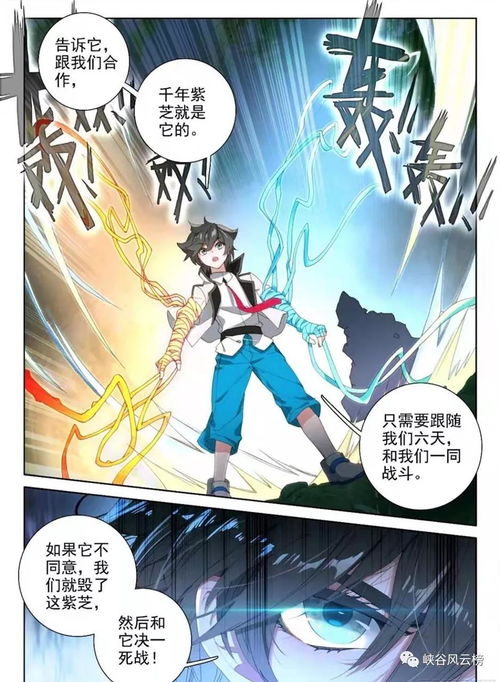 斗罗大陆免费观看完整版高清在线（斗罗大陆动漫版在线观看）