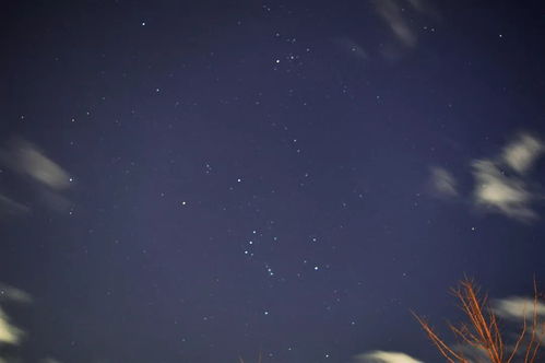 流星雨（流星雨的英文）