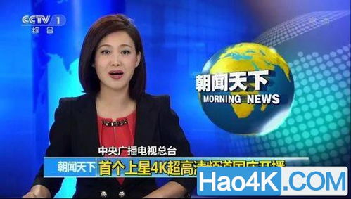 cctv13频道直播（cctv13频道直播在线CCTV13）