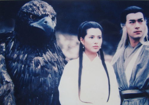 神雕侠侣官网（神雕侠侣官方网站）