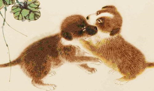 十二生肖最佳婚配表（十二生肖最佳婚配表狗配狗吗）