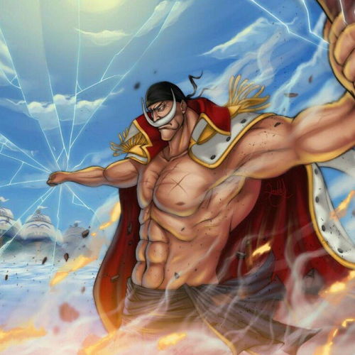 海贼王1059集在线高清免费观看(海贼王106集在线观看) 海贼王1059集在线高清免费观看(海贼王106集在线观看)