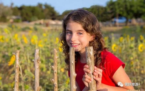 农场主的女儿们（农场主的女儿们美国经典K82农场主的女儿们）