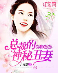 妻子的秘密小说阅读全文（妻子的秘密小说百度百科）