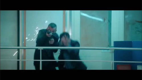 城市猎人法国版（城市猎人法国版演员表）