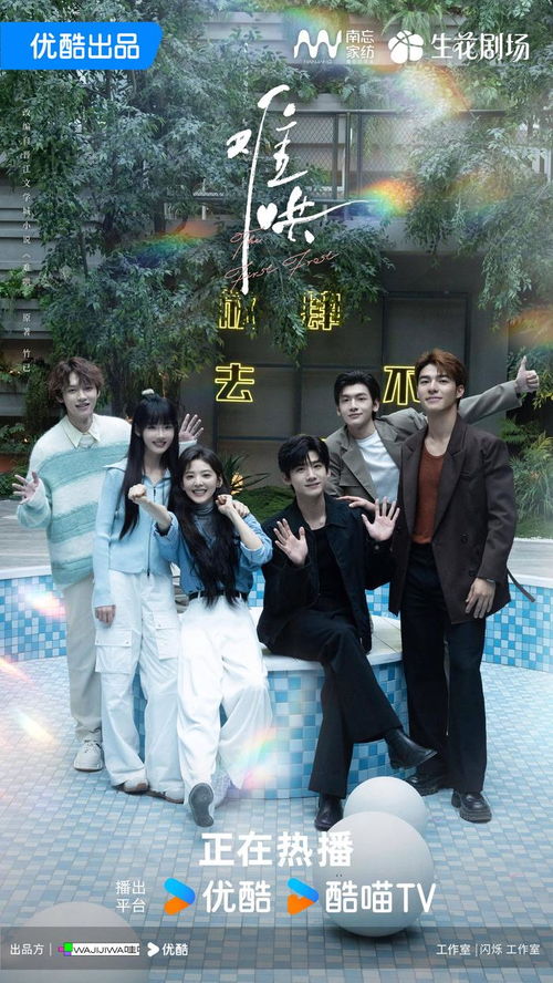 电视剧《难哄》热播（电视剧难哄热播在线观看）