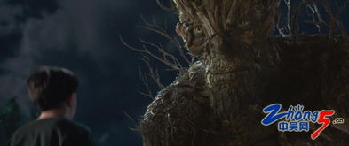 迅雷下载1080高清电影资源（迅雷下载1080高清电影资源在线观看）