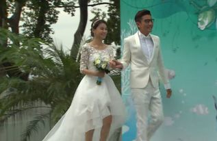 我们结婚了（我们结婚了歌曲原唱）