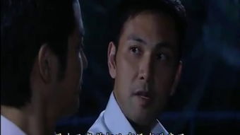 法证先锋3粤语在线观看（法证先锋3粤语免费观看完整版）