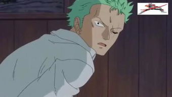 海贼王最强之敌z（海贼王最强之敌z无删减在线观看）