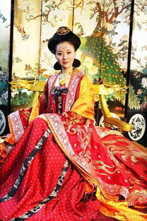 唐宫美人天下电视剧（唐宫美人天下电视连续剧）