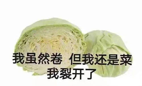 师生感情2（师生感情2李采潭最后和谁在一起）