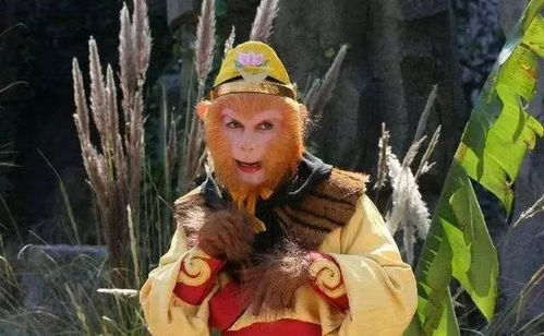 成人版西游记（大人版的西游记）