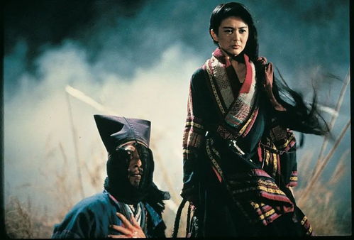 经典武侠电影100部排名（邵氏500部武侠电影）