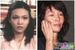 郑裕玲三火凤凰（郑裕玲火凤凰在线观看）