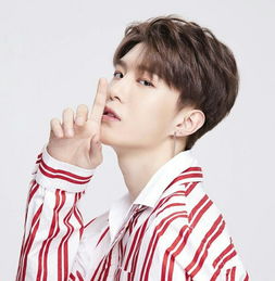 《他弄丢了他的心尖小丫头》（她不哄他了江荞许肆）