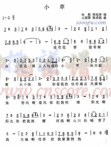 歌曲《小草》原唱(歌曲踏浪原唱) 歌曲《小草》原唱(歌曲踏浪原唱)