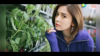 花房姑娘电影大全免费观看（花房姑娘讲的什么意思）