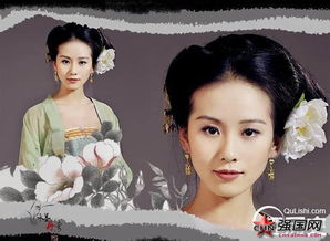 非诚十大绝世美人（非诚十大绝世美人免费阅读）