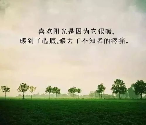 人生感悟的句子（人生感悟的句子 精辟）