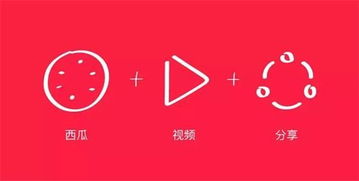 正版的西瓜视频(西瓜视频) 正版的西瓜视频(西瓜视频)