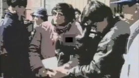 金梅1990（金梅5集电视连续剧）