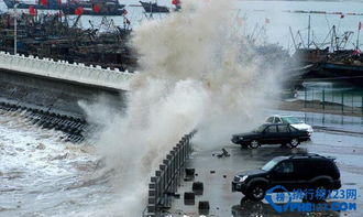 战争片电视剧大全免费(军事片电视剧排行榜前十名) 战争片电视剧大全免费(军事片电视剧排行榜前十名)