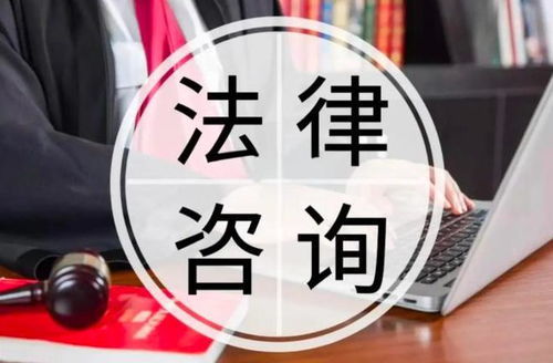 法律咨询（法律咨询服务）