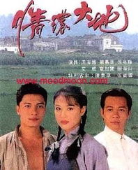 情浓大地粤语在线观看（情浓大地粤语手机在线观看）