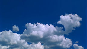 天空影视下载官网免费(天空影视下载官网免费下载安装) 天空影视下载官网免费(天空影视下载官网免费下载安装)