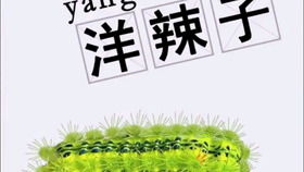 野花电影(野花电影哔哩哔哩) 野花电影(野花电影哔哩哔哩)