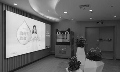 关于《美容室:特殊服务3》中文字幕的信息