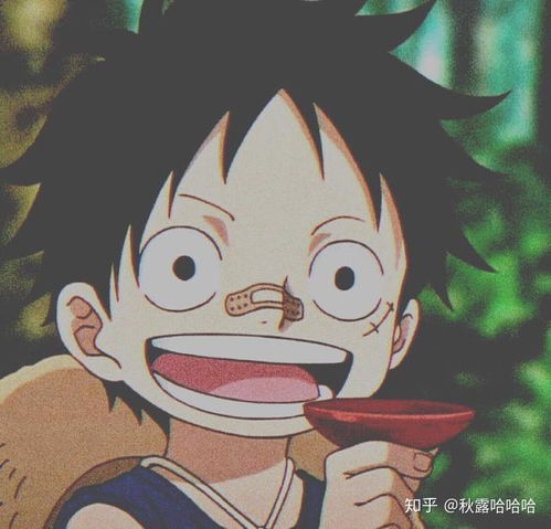 海贼王图片高清（海贼王图片高清头像）