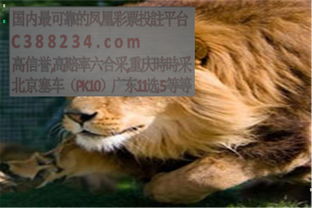 美国人与畜禽croproation365（美国人与畜禽3完整版92集视频免费播放）